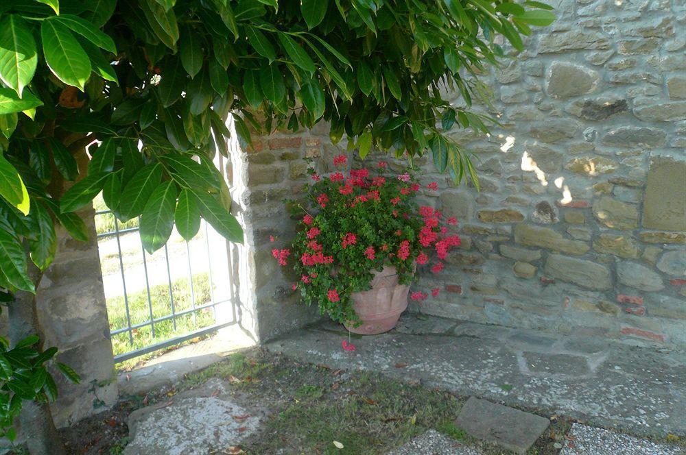 Il Gelso Daire Cortona Dış mekan fotoğraf
